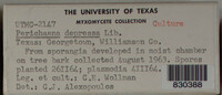 Image Associated With the Occurence